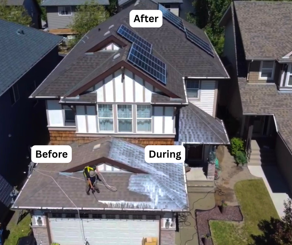 Aerial view of a Lane County home mid-treatment, showing untreated and treated roof sections